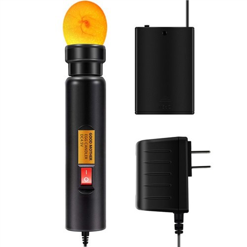 Ljus ägg med ficklampa